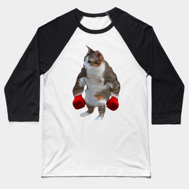 cat shitpost meme, funny memes Baseball T-Shirt by Tee Shop